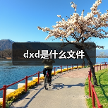 dxd是什么文件（图3）