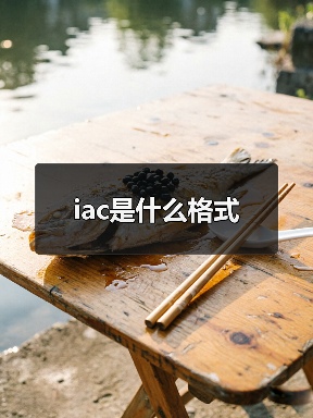 iac是什么格式（图2）