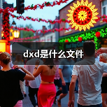 dxd是什么文件（图4）