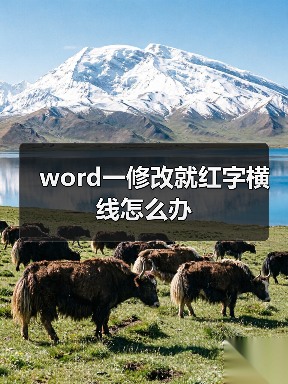 word一修改就红字横线怎么办(图1) word一修改就红字横线怎么办(图1)