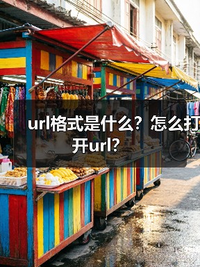 url格式是什么？怎么打开url？（图1）