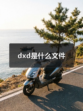 dxd是什么文件（图2）