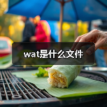 wat是什么文件（图2）