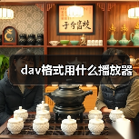 dav格式用什么播放器（图2）