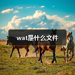 wat是什么文件（图4）