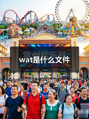 wat是什么文件（图3）