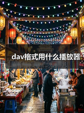 dav格式用什么播放器（图4）