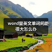 word里英文单词间距很大怎么办