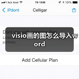 visio画的图怎么导入word