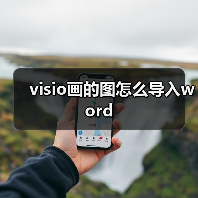 visio画的图怎么导入word（图4）