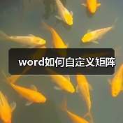word如何自定义矩阵