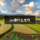 jio是什么文件