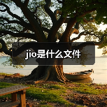 jio是什么文件（图3）