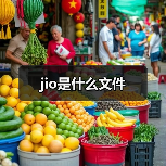 jio是什么文件（图4）