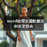 word如何实现批量改中英文标点