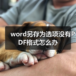 word另存为选项没有PDF格式怎么办（图3）