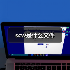 scw是什么文件（图3）
