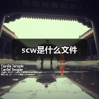 scw是什么文件