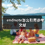 endnote怎么引用参考文献