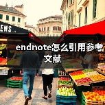endnote怎么引用参考文献（图2）
