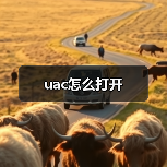 uac怎么打开