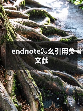 endnote怎么引用参考文献（图3）