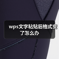 wps文字粘贴后格式变了怎么办（图3）