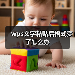 wps文字粘贴后格式变了怎么办（图4）