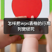 怎样把wps表格的行高列宽锁死（图4）