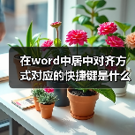 在word中居中对齐方式对应的快捷键是什么（图2）