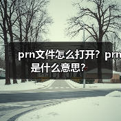 prn文件怎么打开？prn是什么意思？（图2）