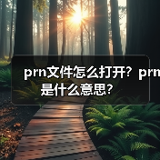 prn文件怎么打开？prn是什么意思？（图3）