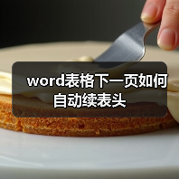 word表格下一页如何自动续表头（图4）