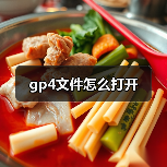gp4文件怎么打开（图3）