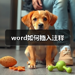 word如何插入注释（图4）