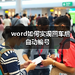 Word文档自动编号设置全攻略，快速掌握序号格式使用技巧