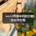 word页面中间的分割线如何实现（图4）