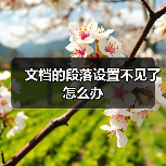 文档的段落设置不见了怎么办（图3）