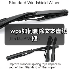 wps如何删除文本虚线框（图4）