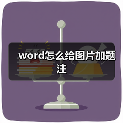 word怎么给图片加题注（图3）
