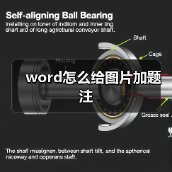 Word图片题注添加方式及操作技巧