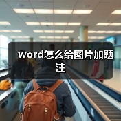 word怎么给图片加题注（图2）