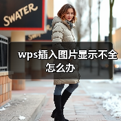 wps插入图片显示不全怎么办（图4）