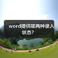 word提供哪两种录入状态？（图2）
