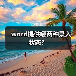 word提供哪两种录入状态？（图4）