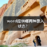 word提供哪两种录入状态？（图3）