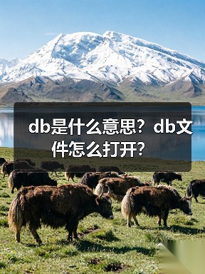 db是什么意思？db文件怎么打开？（图3）