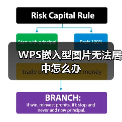 WPS嵌入型图片无法居中怎么办（图4）