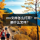mv文件怎么打开？mv是什么文件？（图3）
