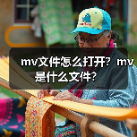 mv文件怎么打开？mv是什么文件？（图2）